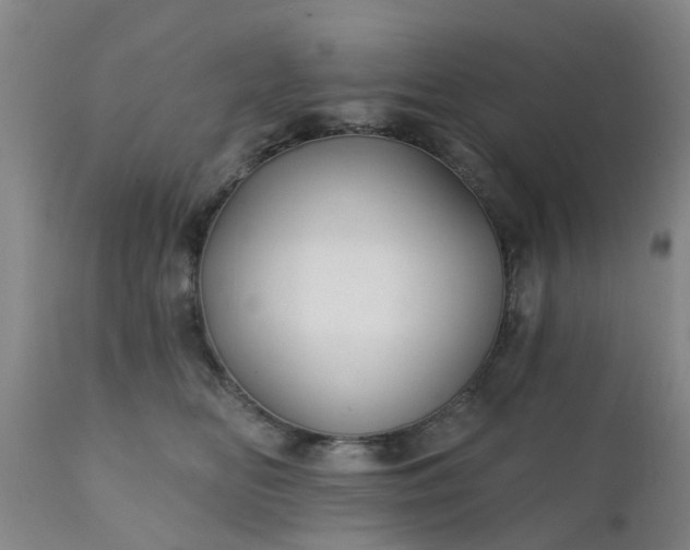 X0000111240518200907091402