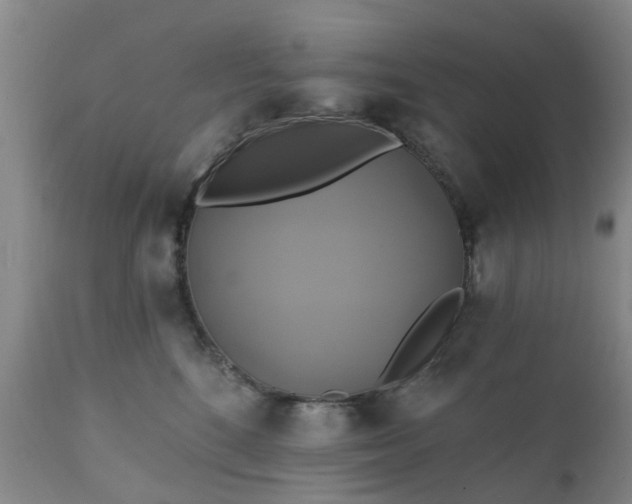 X0000111240520200907091402