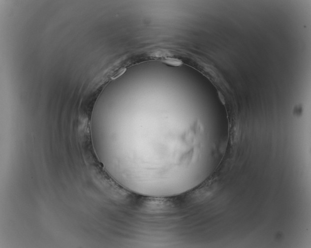 X0000111240521200907091402