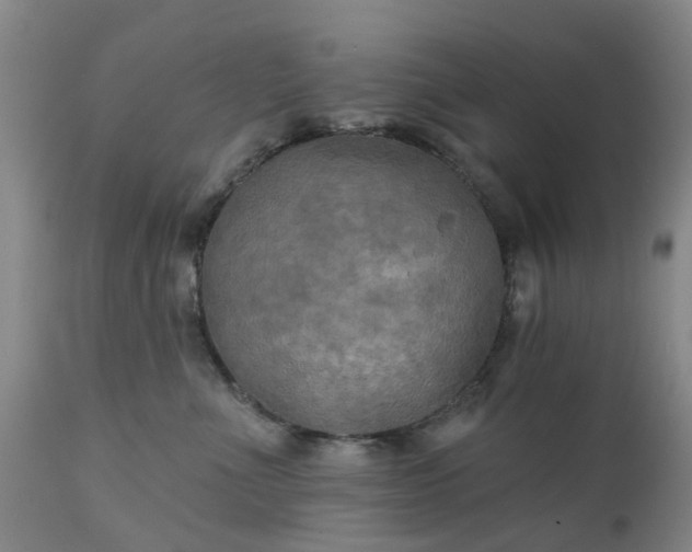 X0000111240523200907091402