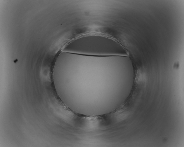 X0000111240524200907091402