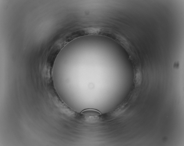 X0000111240525200907091402