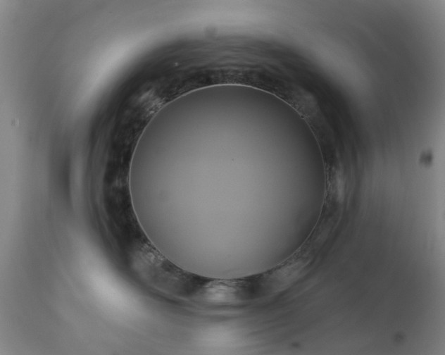 X0000111240526200907091402