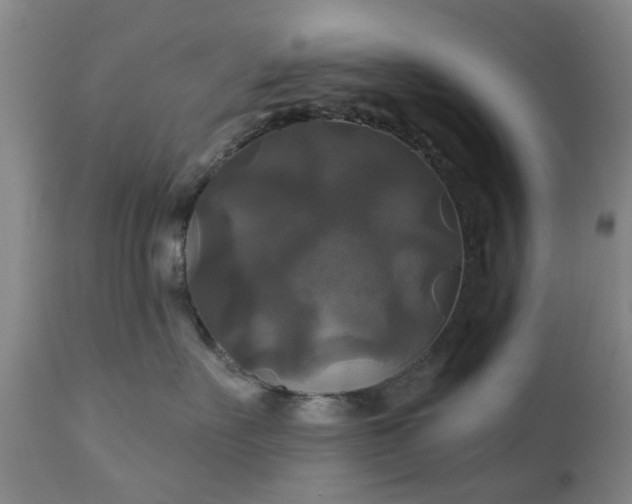 X0000111240527200907091402