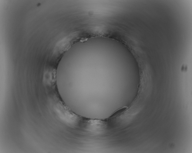 X0000111240528200907091402