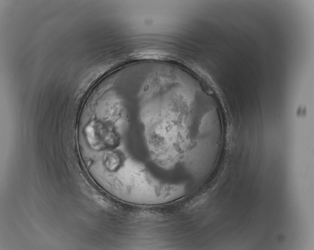 X0000111240529200907091401