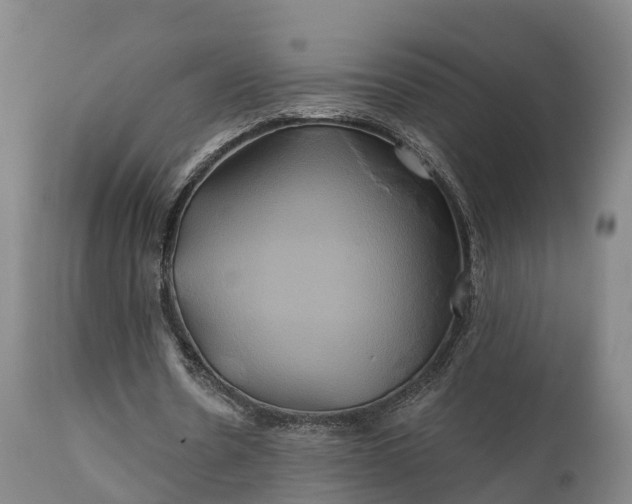 X0000111240530200907091401