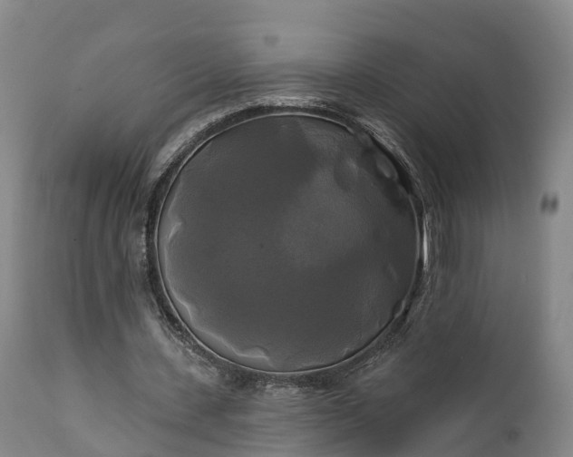 X0000111240531200907091401