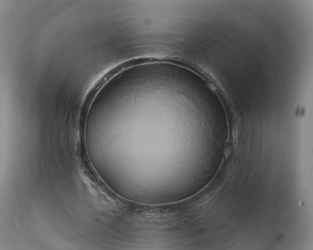 X0000111240532200907091401