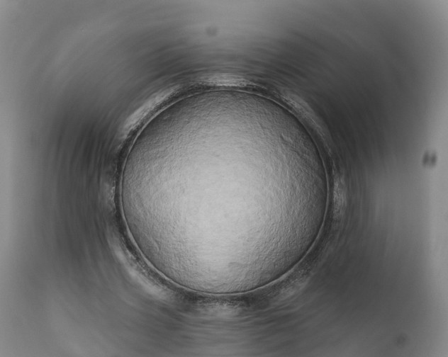 X0000111240533200907091402