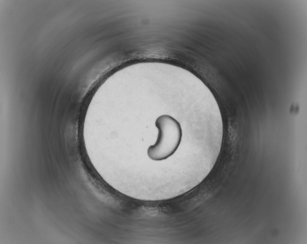 X0000111240534200907091402