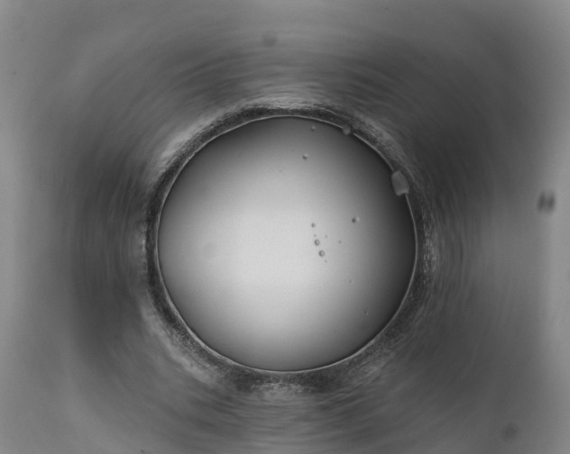 X0000111240535200907091402