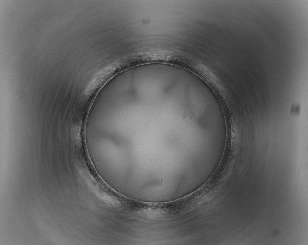 X0000111240537200907091402