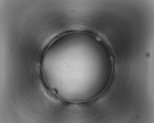 X0000111240538200907091402