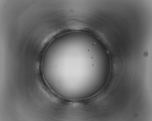 X0000111240539200907091402