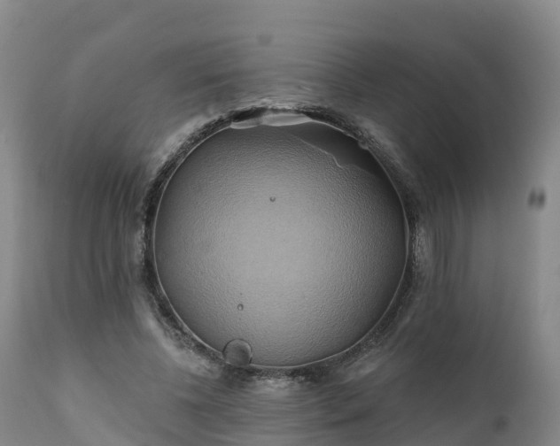 X0000111240540200907091402