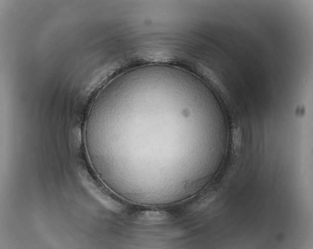 X0000111240541200907091402