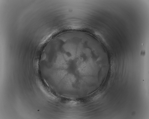 X0000111240542200907091402