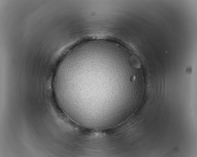 X0000111240543200907091402