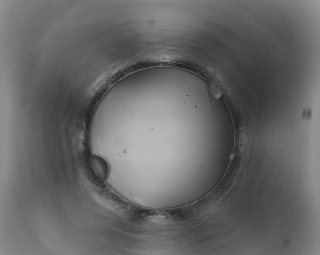 X0000111240544200907091402