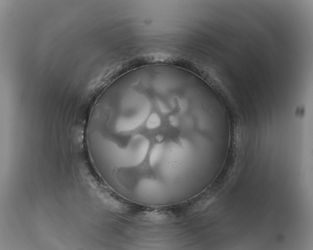 X0000111240545200907091402