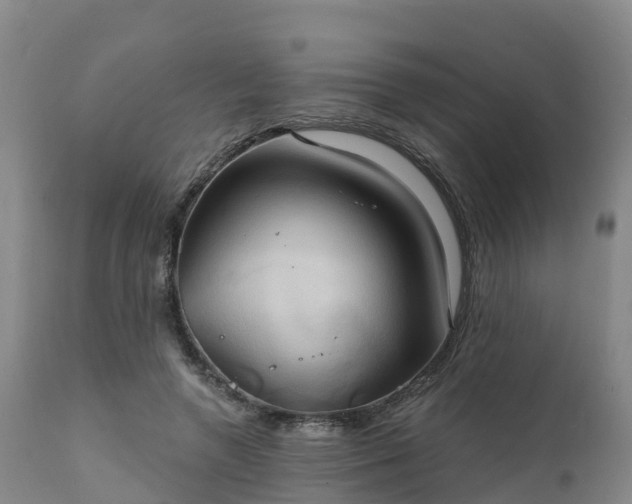 X0000111240546200907091402