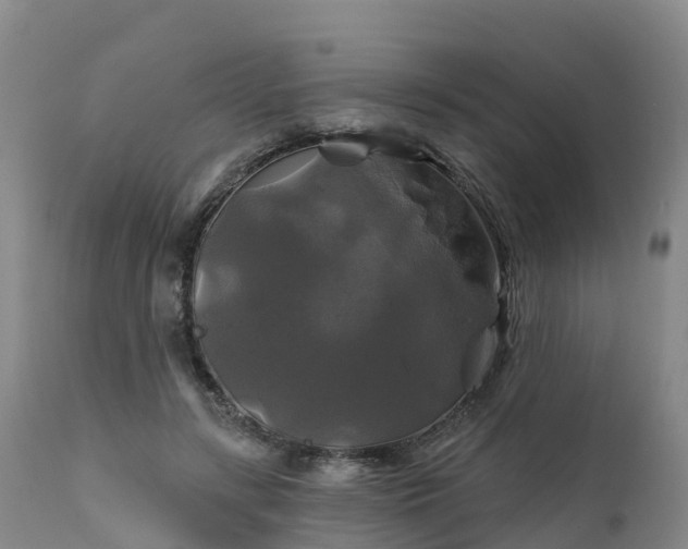 X0000111240547200907091402