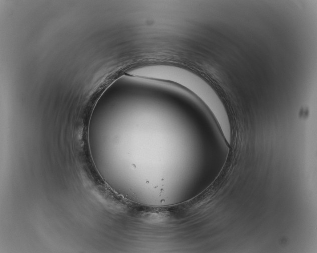 X0000111240548200907091402