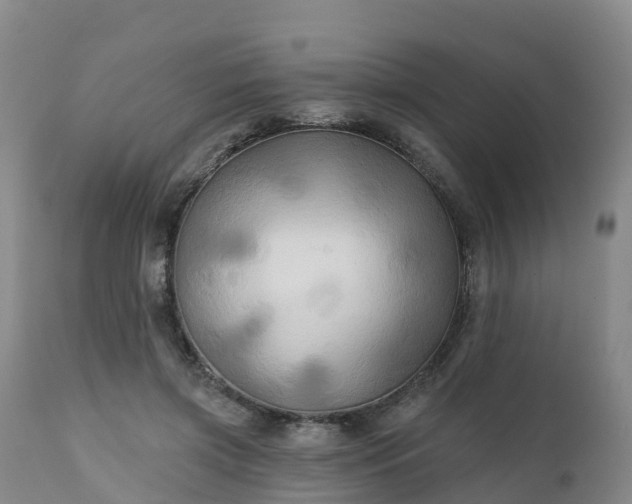 X0000111240549200907091402