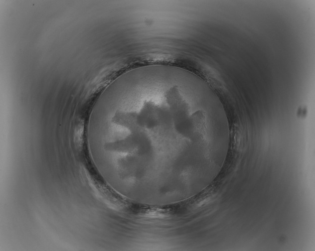 X0000111240550200907091402