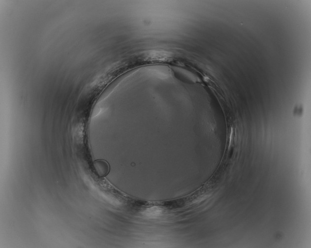 X0000111240551200907091402