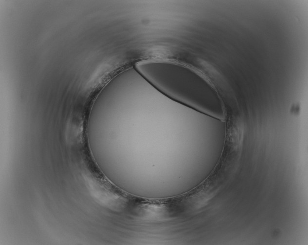 X0000111240552200907091402