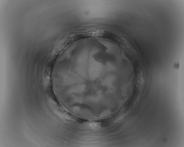 X0000111240553200907091402