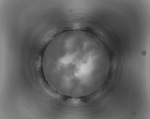 X0000111240554200907091402