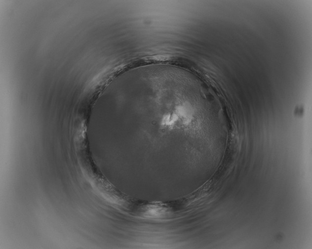 X0000111240555200907091402