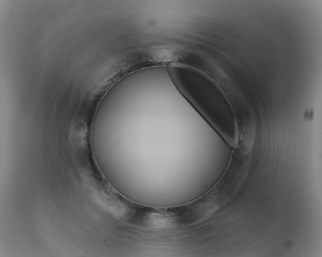 X0000111240556200907091402