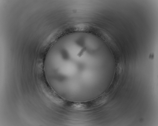 X0000111240557200907091402