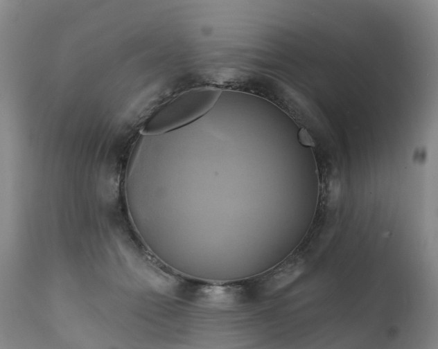 X0000111240558200907091402