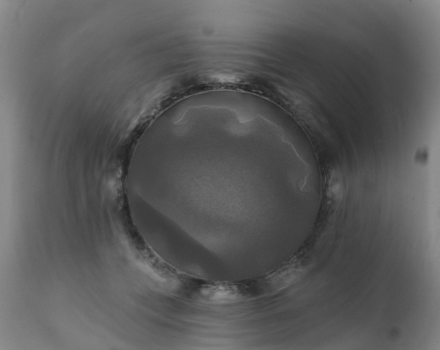 X0000111240559200907091402