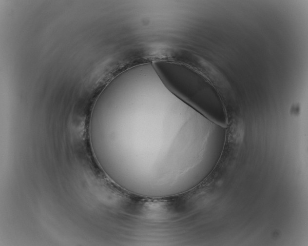 X0000111240560200907091402