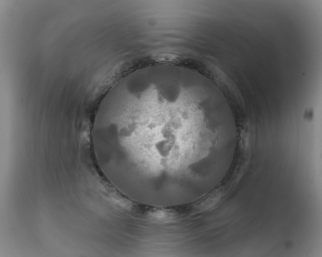 X0000111240561200907091402