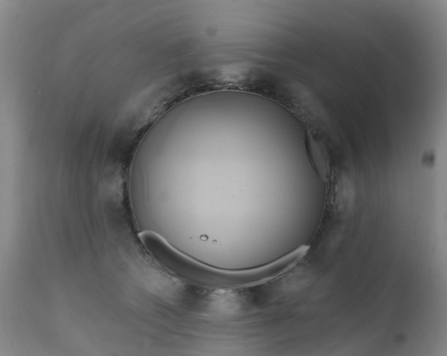 X0000111240562200907091402