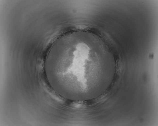 X0000111240563200907091402