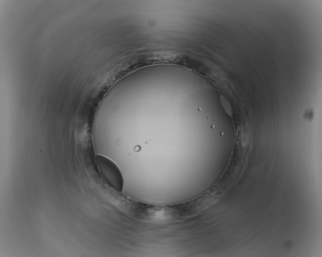 X0000111240564200907091402