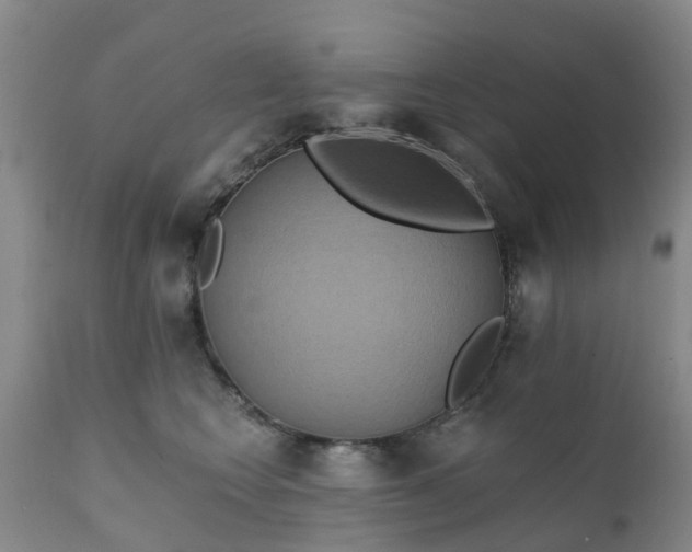 X0000111240566200907091402