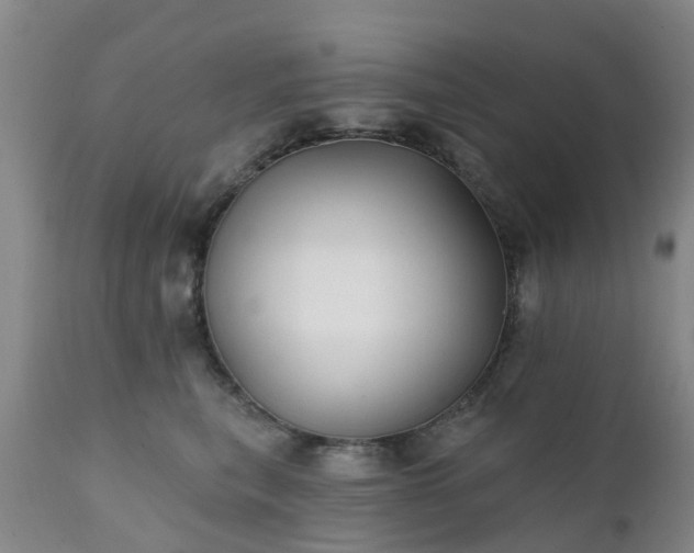 X0000111240567200907091402