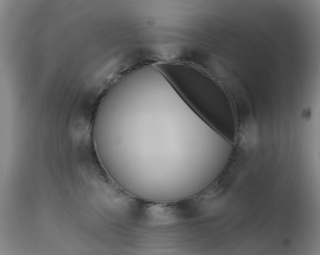 X0000111240568200907091402