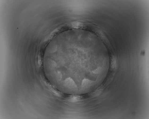 X0000111240569200907091402