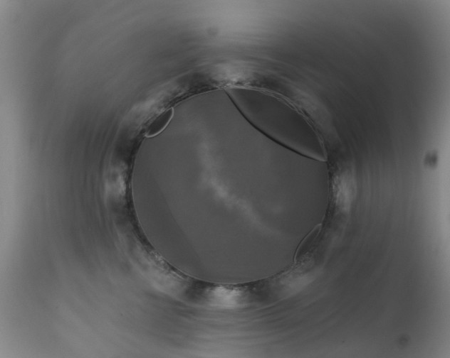 X0000111240570200907091402