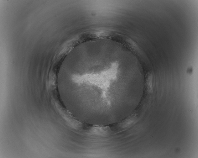 X0000111240571200907091402